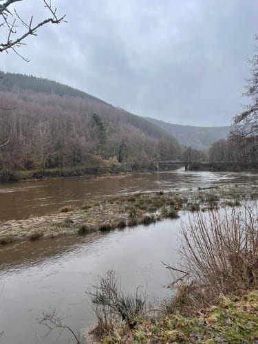 Waldlehrpfad Einruhr/Dedenborn