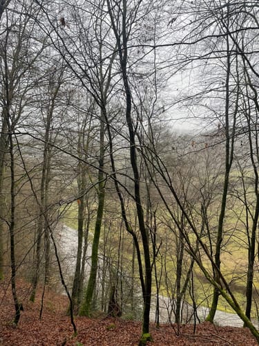 Waldlehrpfad Einruhr/Dedenborn