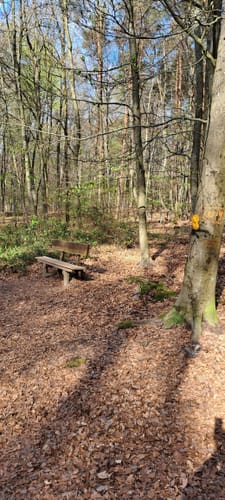 Wadgassener Buchholz Runde