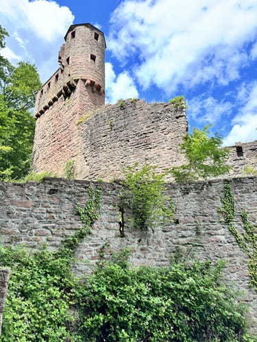 Neckarsteinach - Burg Schadeck [CLOSED]