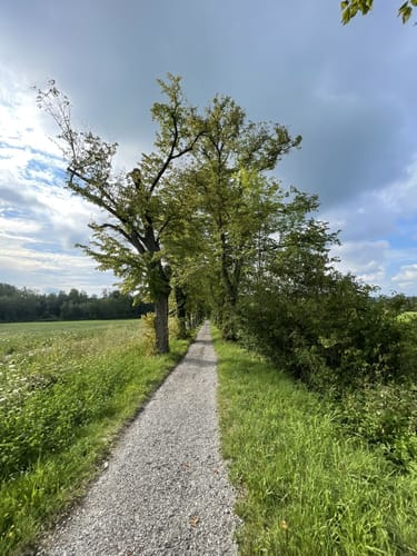 Schloss Höhenried