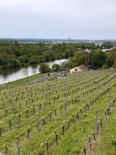 Mainblick, Mainleite und Schindturm