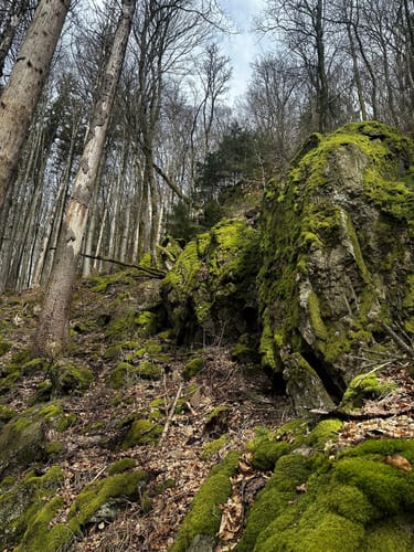 Hotzenpfad (Premiumwanderweg)