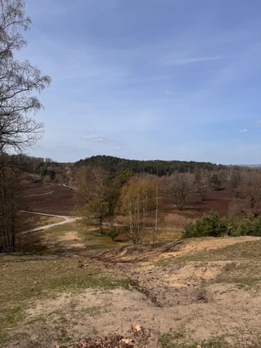 Fischbeker Heide: Fischbektal und Aussichtspunkte