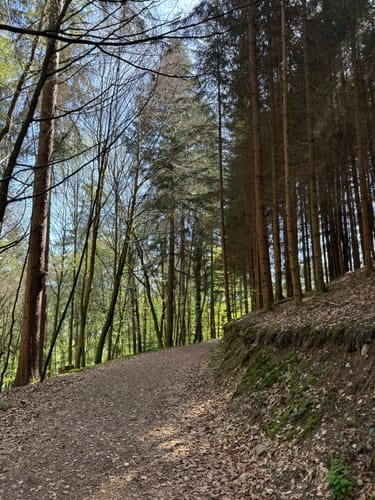 Seelbach Panoramawanderung