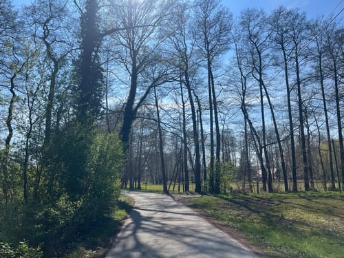 Burg Runde im Spreewald