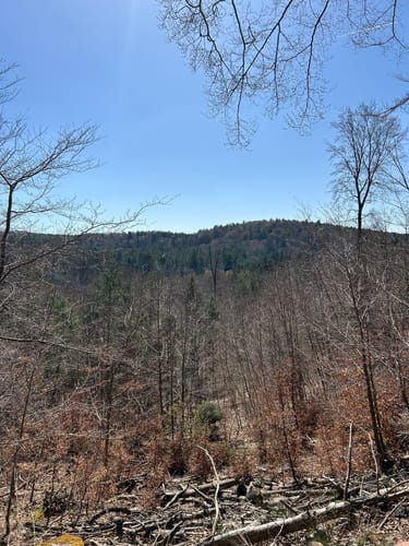 Kindsbach Kandeltal zur Ruine Großerberg