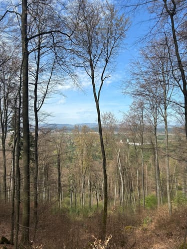 Kindsbach Kandeltal zur Ruine Großerberg