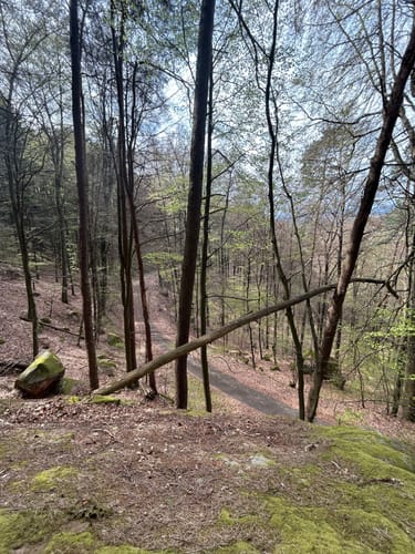 Kindsbach Kandeltal zur Ruine Großerberg