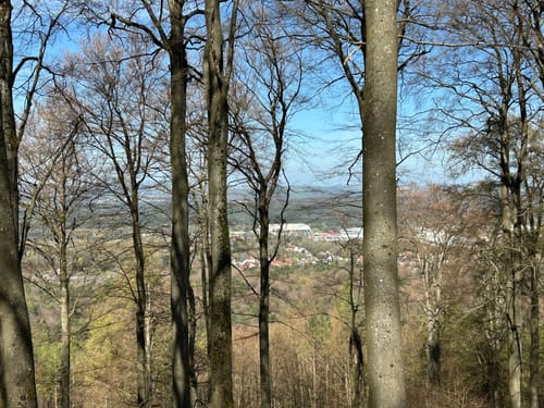Kindsbach Kandeltal zur Ruine Großerberg