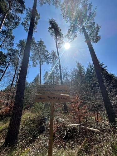 Kindsbach Kandeltal zur Ruine Großerberg