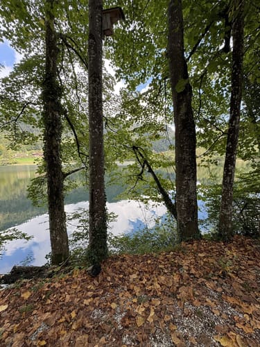 Thumsee-Rundwanderweg