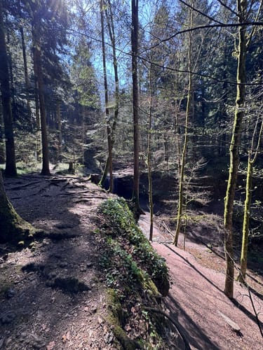 Murrhardt und Hörschbachwasserfälle Rundweg