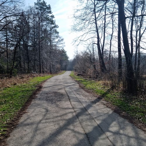 Auf dem Deister-Kamm von Springe nach Bantorf