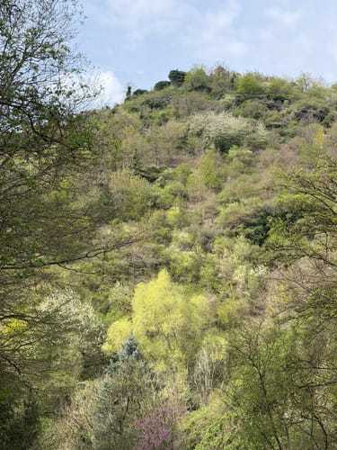 Von Zell zum Collis-Turm
