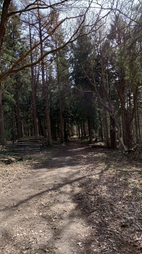 Rund um den Selenter See