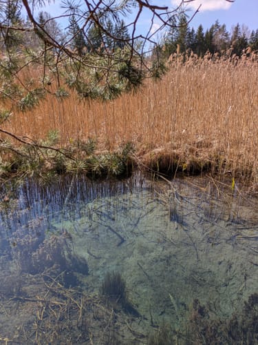 Rundweg um den Fohnsee