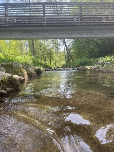 Via Rhenana, Etappe 9: Bad Säckingen - Rheinfelden