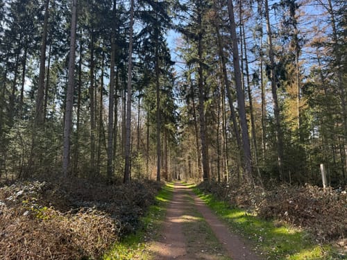 Eutiner See Rundweg