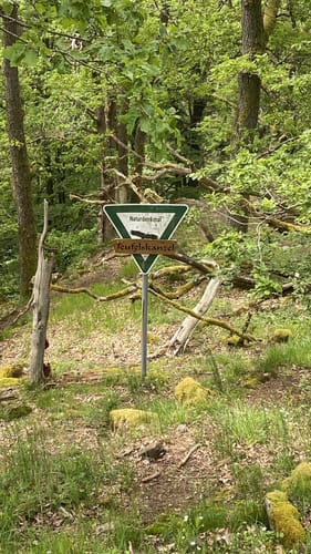 Wittgensteiner Mythen- und Sagenweg