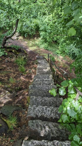 Hasserode - Scharfenstein Runde