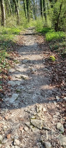 Natura Trail Mandelbachtal