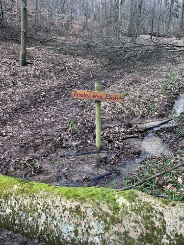 Von Kelkheim zum Großen Mannstein und der Luisenruhe
