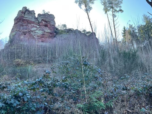 Kasteler Felsenpfad (Traumschleife)