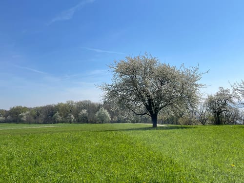 Von Überlingen zum Haldenhof