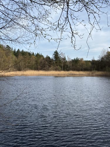 Schmidts Kiefern und Heidhofer Teiche