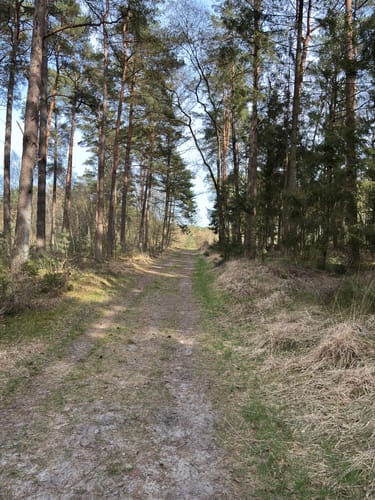 Schmidts Kiefern und Heidhofer Teiche