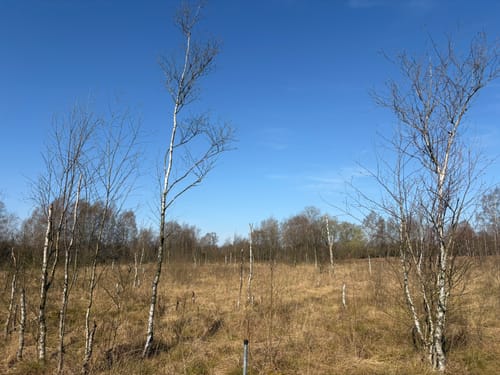 Rundwanderweg Einfelder See