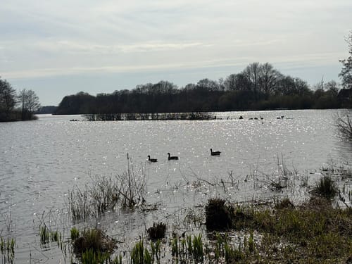 Rundwanderweg Einfelder See