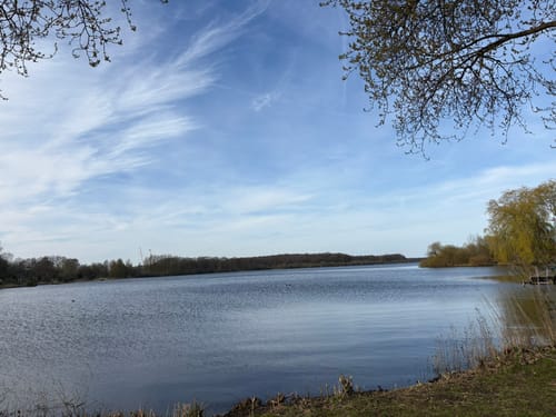 Rundwanderweg Einfelder See