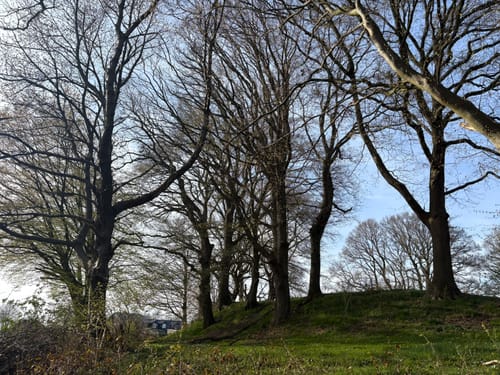 Rundwanderweg Einfelder See