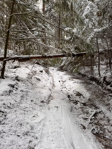 Hasselbrack Rundweg