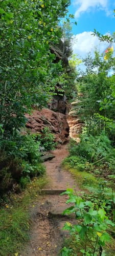 Hauensteiner Schusterpfad (Premiumwanderweg)