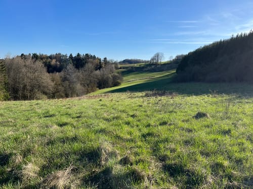 Plankenfels Rundwanderweg "Lochautalweg"
