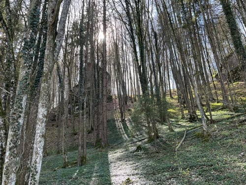 Plankenfels Rundwanderweg "Lochautalweg"