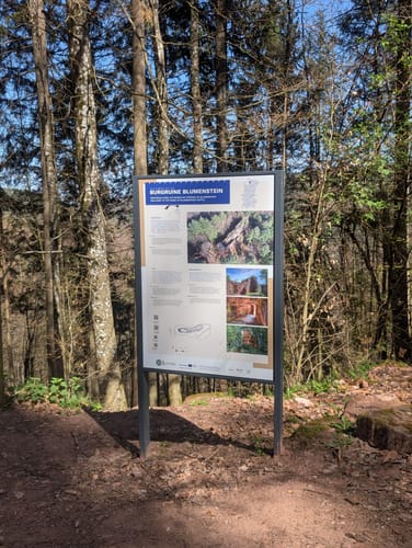 Dachs-Weg