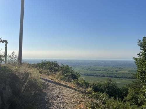 Burrweiler - St. Anna-Kapelle -Trifelsblick