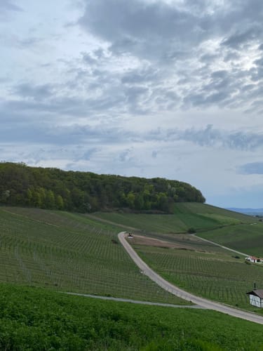 Pfühlpark - Köpfertal Rundwanderung