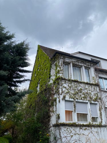 Pfühlpark - Köpfertal Rundwanderung