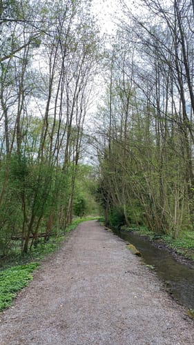 Pfühlpark - Köpfertal Rundwanderung