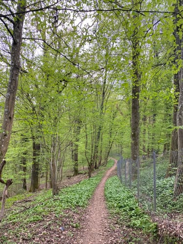 Pfühlpark - Köpfertal Rundwanderung