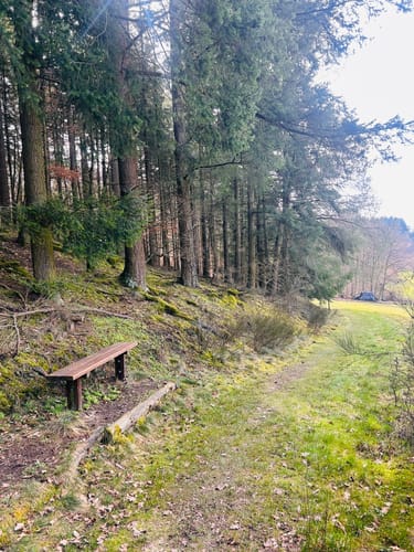Mittelalterpfad (Traumpfad)