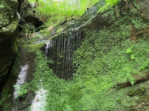 Teufelspfad (Premiumwanderweg)