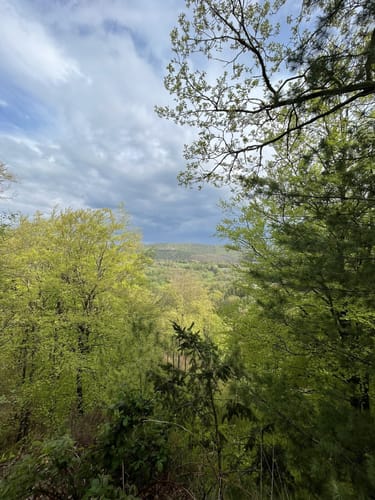 Graf-Zeppelin-Weg Schönau