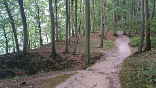 Hochuferwanderweg Binz - Sellin