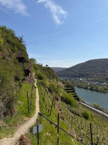 Hatzenporter Laysteig (Traumpfad)